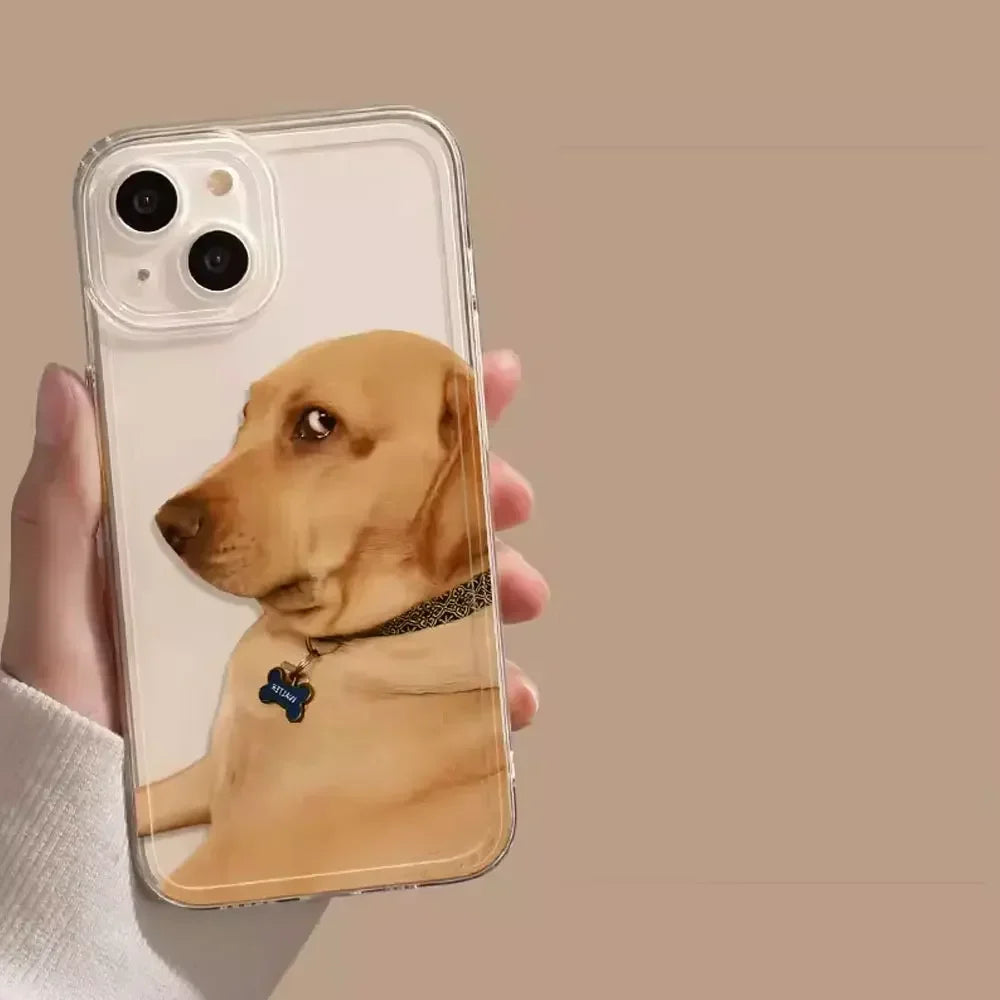 Funny Dog Cat Phone Case